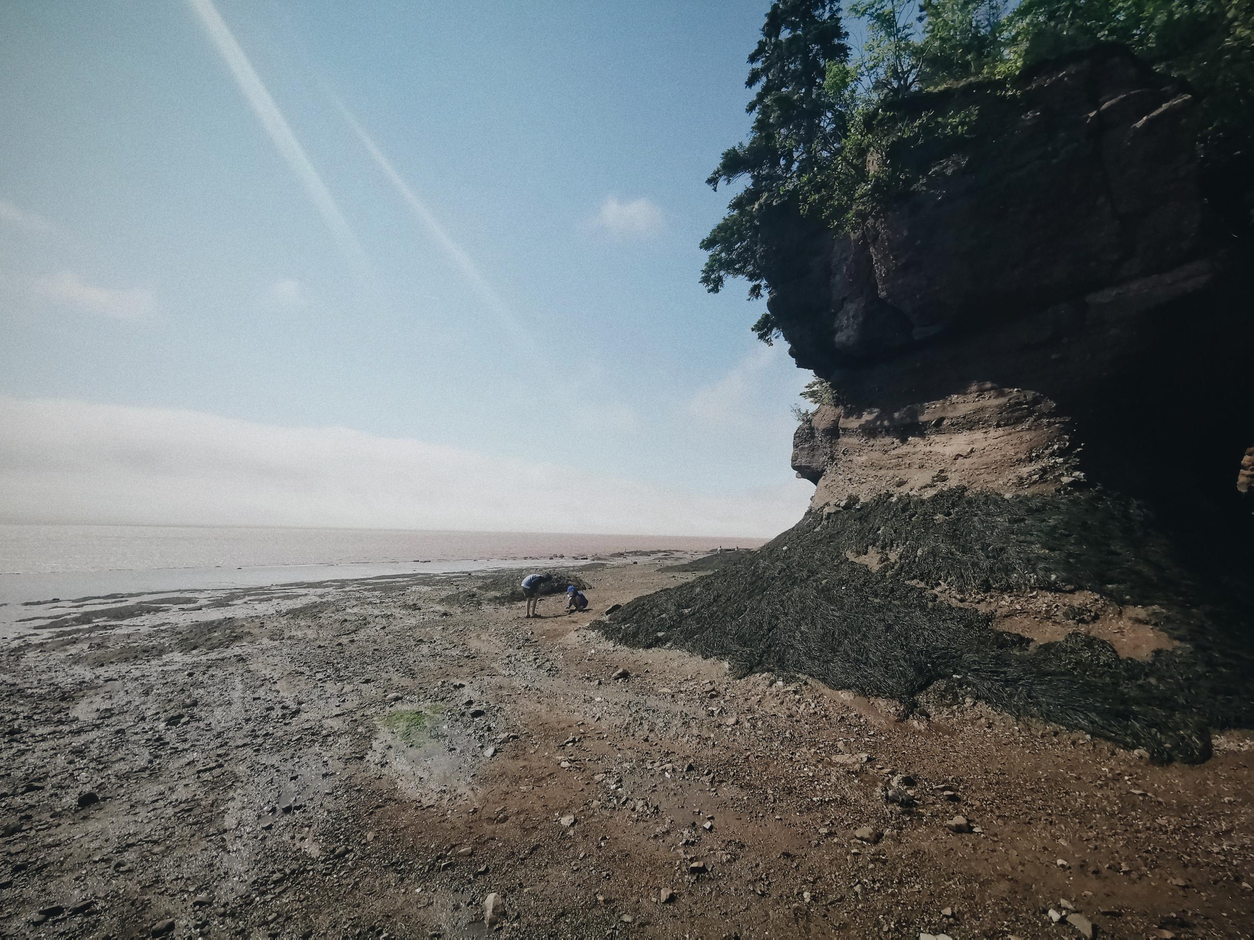 2019 07 06 06.19.04 1